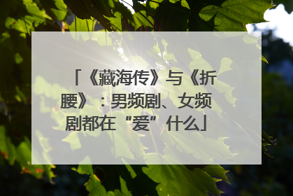 《藏海传》与《折腰》：男频剧、女频剧都在“爱”什么