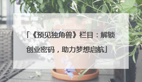《预见独角兽》栏目：解锁创业密码，助力梦想启航