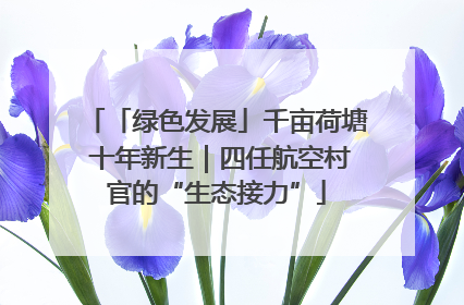 「绿色发展」千亩荷塘 十年新生｜四任航空村官的“生态接力”