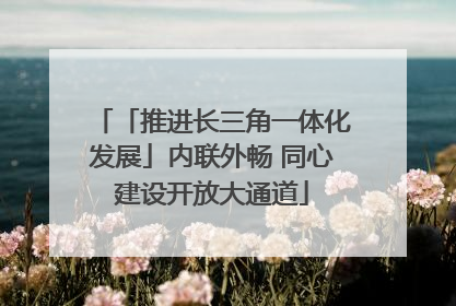 「推进长三角一体化发展」内联外畅 同心建设开放大通道