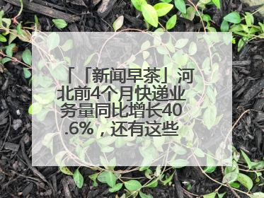「新闻早茶」河北前4个月快递业务量同比增长40.6%，还有这些热点……