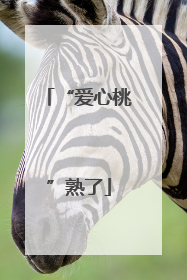 “爱心桃”熟了