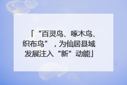 “百灵鸟、啄木鸟、织布鸟”，为仙居县域发展注入“新”动能