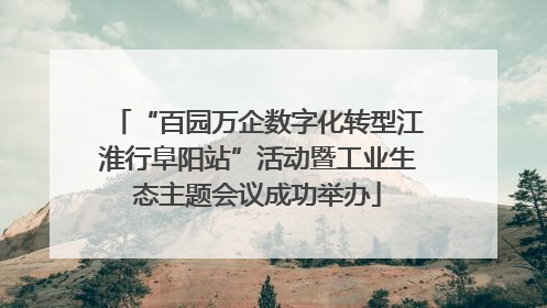 “百园万企数字化转型江淮行阜阳站”活动暨工业生态主题会议成功举办