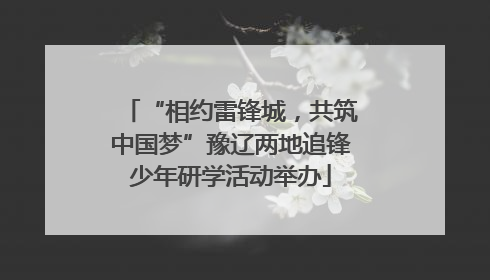 “相约雷锋城，共筑中国梦”豫辽两地追锋少年研学活动举办