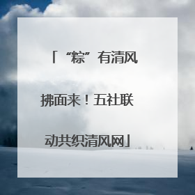 “粽”有清风拂面来！五社联动共织清风网