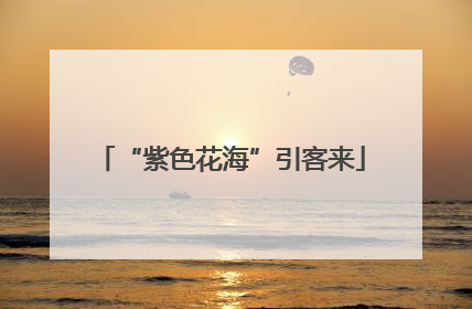 “紫色花海”引客来
