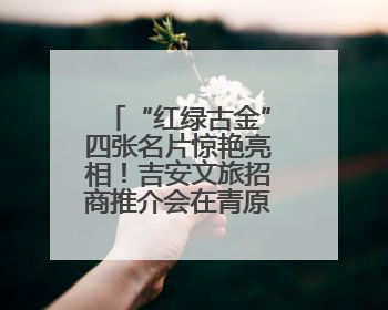 “红绿古金”四张名片惊艳亮相！吉安文旅招商推介会在青原区举行(图)