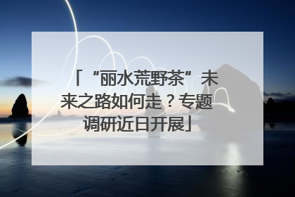 “丽水荒野茶”未来之路如何走？专题调研近日开展