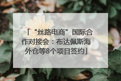 “丝路电商”国际合作对接会：布达佩斯海外仓等8个项目签约