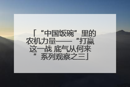 “中国饭碗”里的农机力量——“打赢这一战 底气从何来”系列观察之三