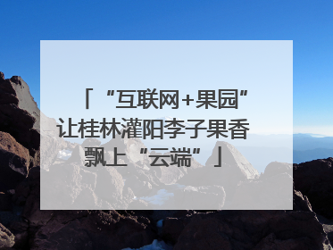 “互联网+果园”让桂林灌阳李子果香飘上“云端”