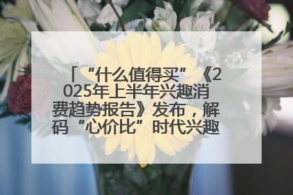 “什么值得买”《2025年上半年兴趣消费趋势报告》发布，解码“心价比”时代兴趣消费新范式
