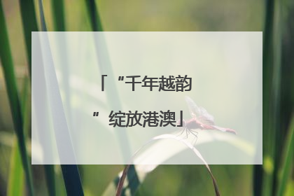“千年越韵”绽放港澳