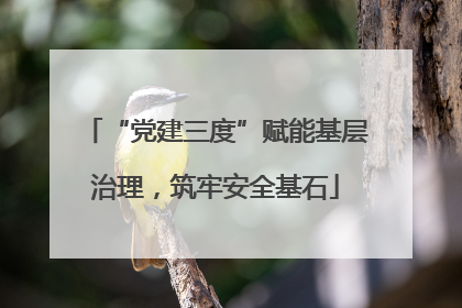“党建三度”赋能基层治理，筑牢安全基石