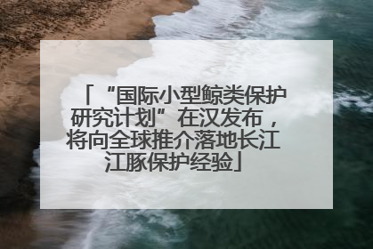 “国际小型鲸类保护研究计划”在汉发布，将向全球推介落地长江江豚保护经验