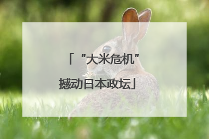 “大米危机”撼动日本政坛