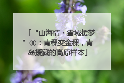 “山海情・雪域援梦”⑧：青稞变金稞，青岛援藏的高原样本