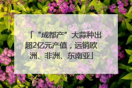 “成都产”大蒜种出超2亿元产值，远销欧洲、非洲、东南亚