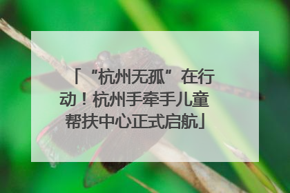 “杭州无孤”在行动！杭州手牵手儿童帮扶中心正式启航