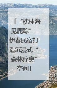 “枕林海见鹿踪” 伊春民宿打造沉浸式“森林疗愈”空间