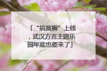 “搞莫狮”上线，武汉方言主题乐园年底也要来了