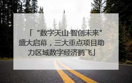 “数字天山·智创未来”盛大启幕，三大重点项目助力区域数字经济腾飞