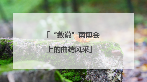“数说”南博会上的曲靖风采