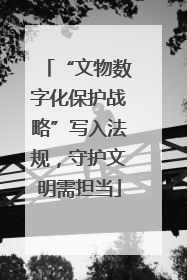 “文物数字化保护战略”写入法规，守护文明需担当