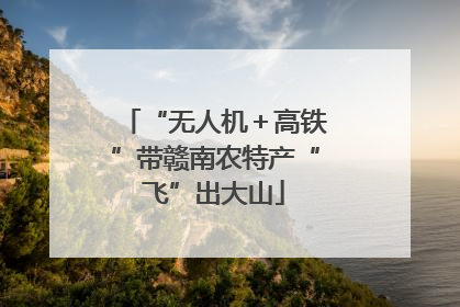 “无人机＋高铁”带赣南农特产“飞”出大山