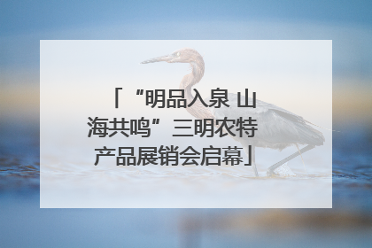 “明品入泉 山海共鸣”三明农特产品展销会启幕