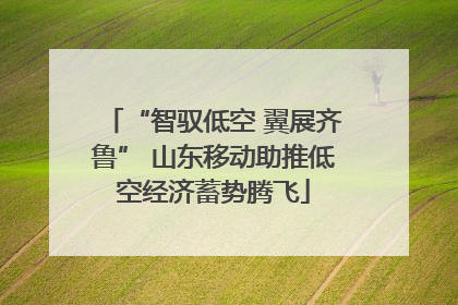 “智驭低空 翼展齐鲁” 山东移动助推低空经济蓄势腾飞