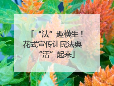 “法”趣横生！花式宣传让民法典“活”起来