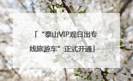 “泰山VIP观日出专线旅游车”正式开通