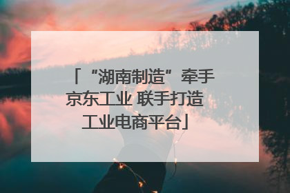 “湖南制造”牵手京东工业 联手打造工业电商平台