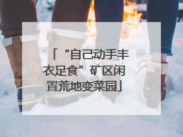 “自己动手丰衣足食”矿区闲置荒地变菜园