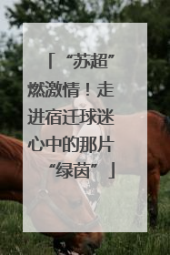 “苏超”燃激情！走进宿迁球迷心中的那片“绿茵”