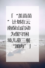 “茶苗苗”计划在云南保山启动 为留守困境儿童三餐“加肉”