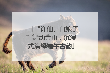 “许仙、白娘子”舞动金山，沉浸式演绎端午古韵