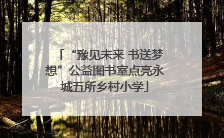 “豫见未来 书送梦想”公益图书室点亮永城五所乡村小学