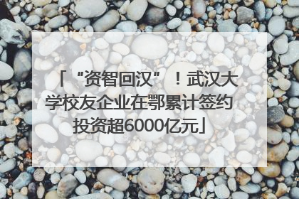 “资智回汉”！武汉大学校友企业在鄂累计签约投资超6000亿元