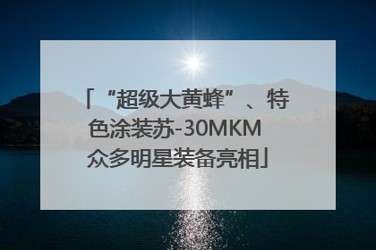 “超级大黄蜂”、特色涂装苏-30MKM 众多明星装备亮相