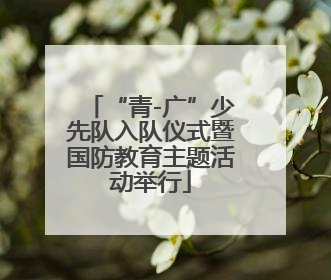 “青-广”少先队入队仪式暨国防教育主题活动举行