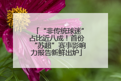 “非传统球迷”占比近八成！首份“苏超”赛事影响力报告新鲜出炉
