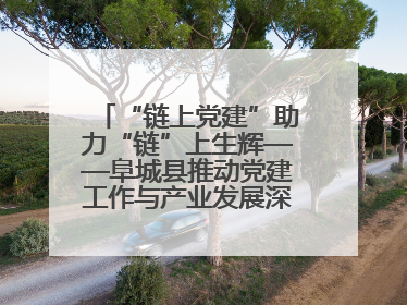 “链上党建”助力“链”上生辉——阜城县推动党建工作与产业发展深度融合