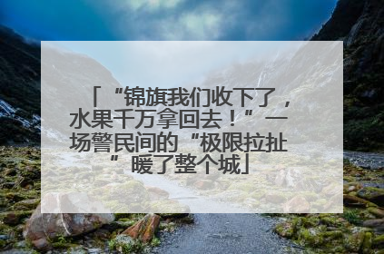 “锦旗我们收下了，水果千万拿回去！”一场警民间的“极限拉扯”暖了整个城