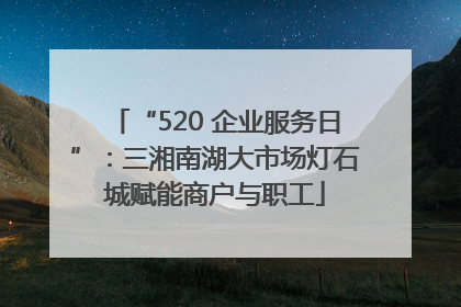 “520 企业服务日”：三湘南湖大市场灯石城赋能商户与职工