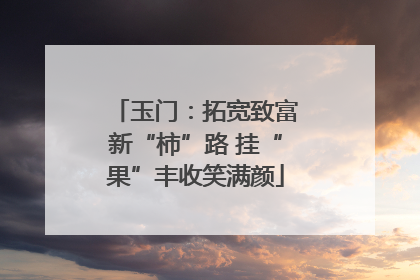 玉门：拓宽致富新“柿”路 挂“果”丰收笑满颜