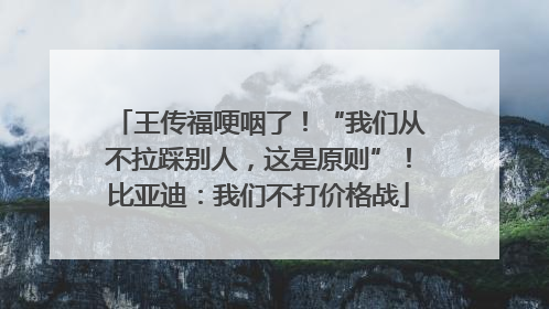 王传福哽咽了！“我们从不拉踩别人，这是原则”！比亚迪：我们不打价格战