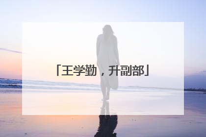 王学勤，升副部